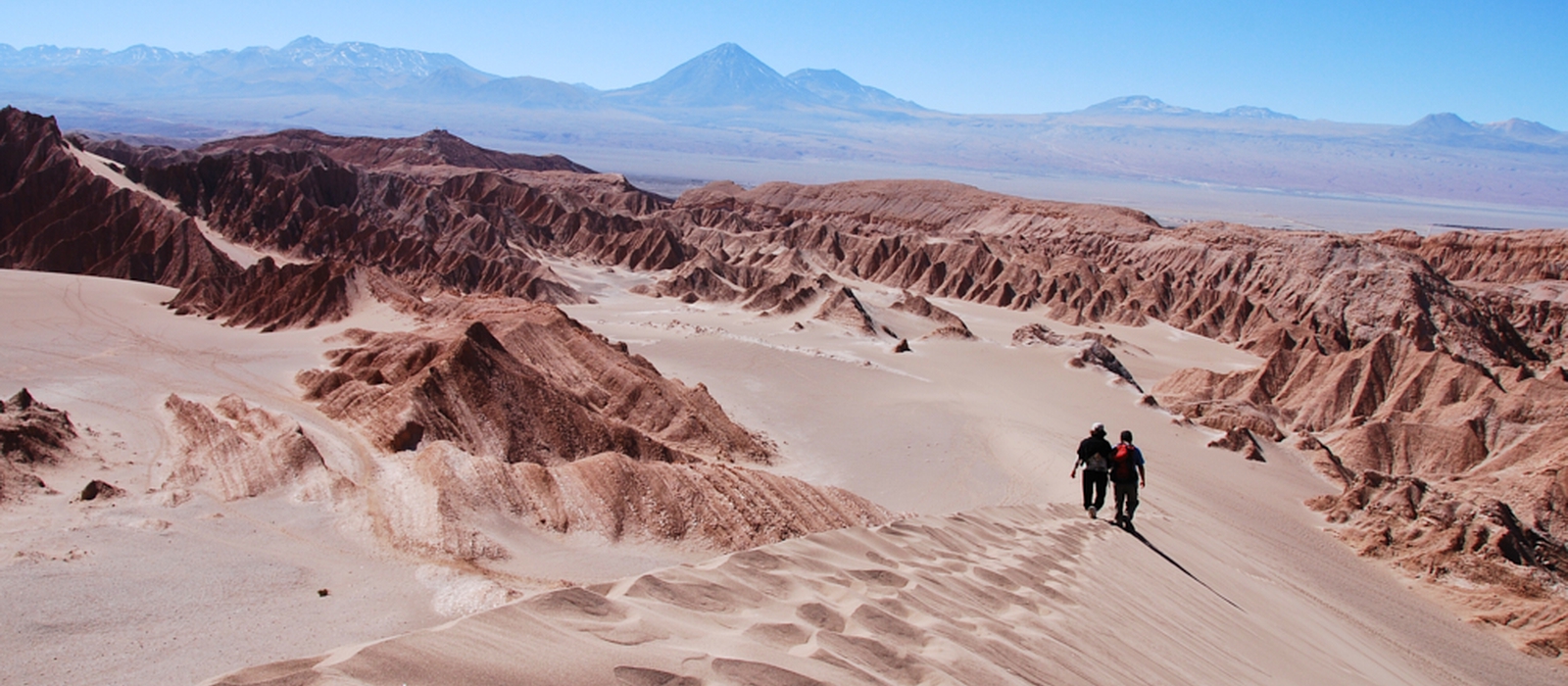 Classic Northern Chile and the Central Wine Valley