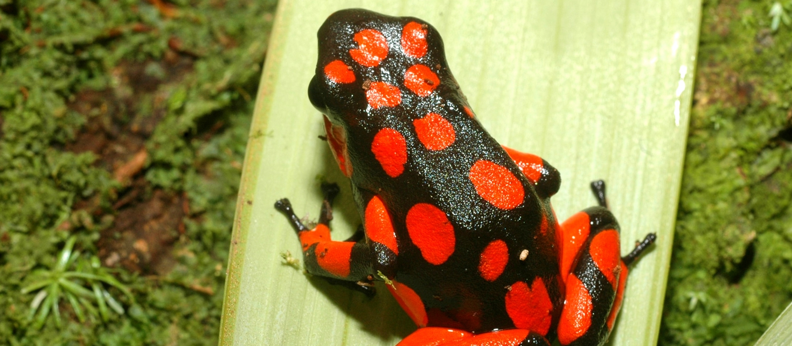 COLOMBIAN NATURE- MULTI-DESTINATION