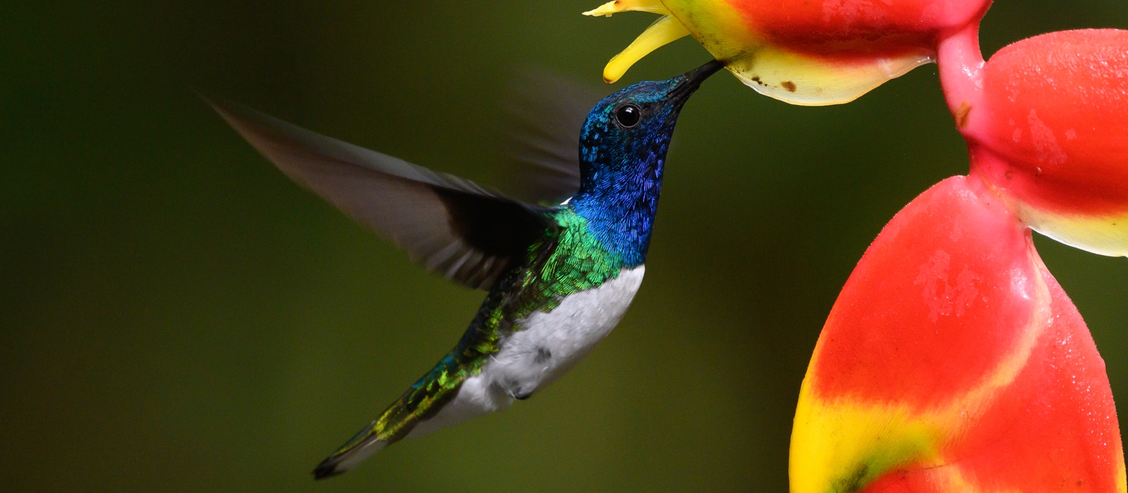 Corcovado National Park - Off The Beaten Track