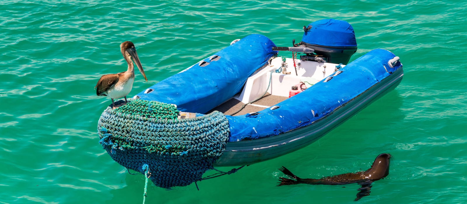 LUXURY 5 DAY GALAPAGOS