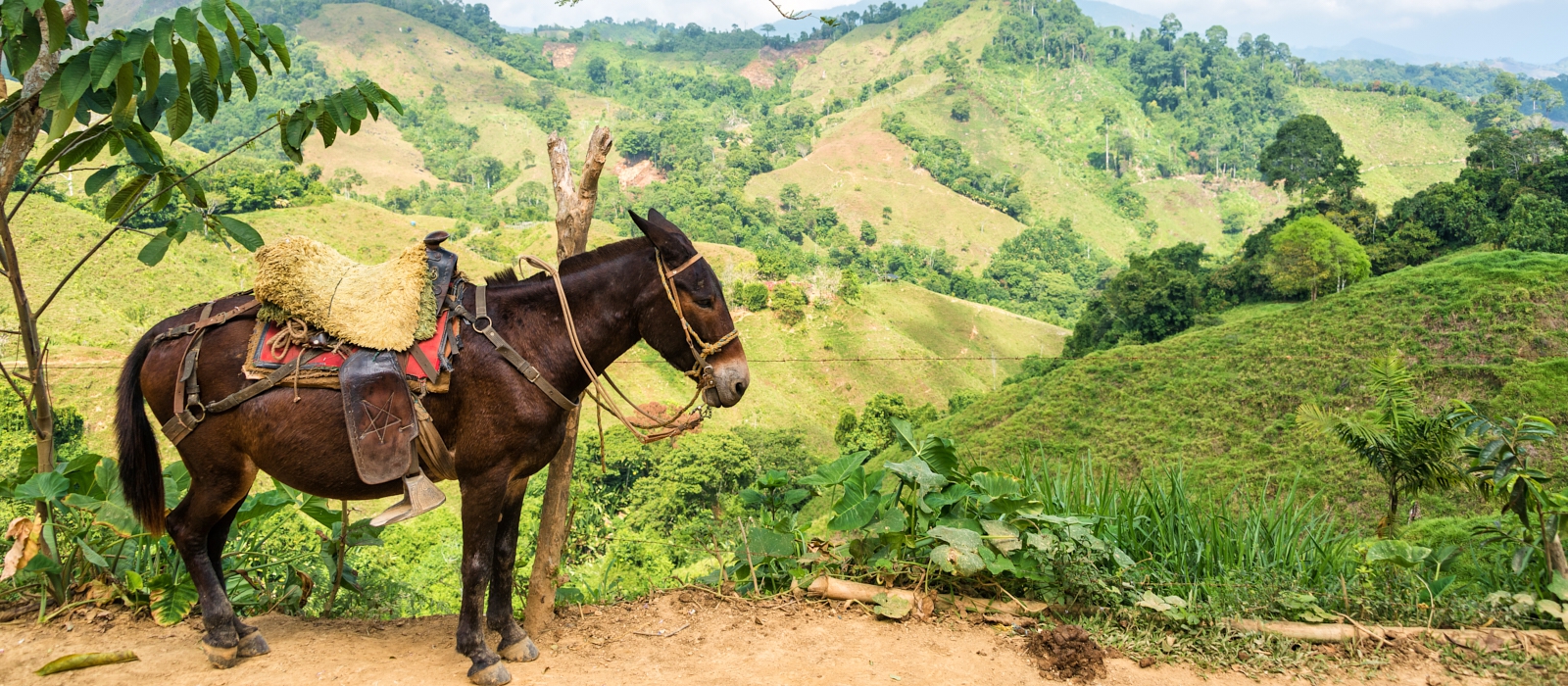 MULTI-DESTINATION CULTURAL IMMERSION EXPERIENCE
