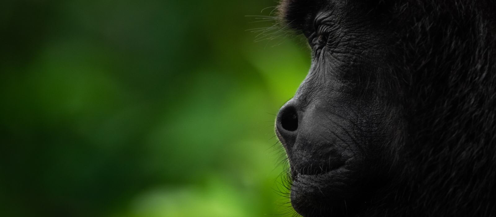 Northern Costa Rica - Off The Beaten Track