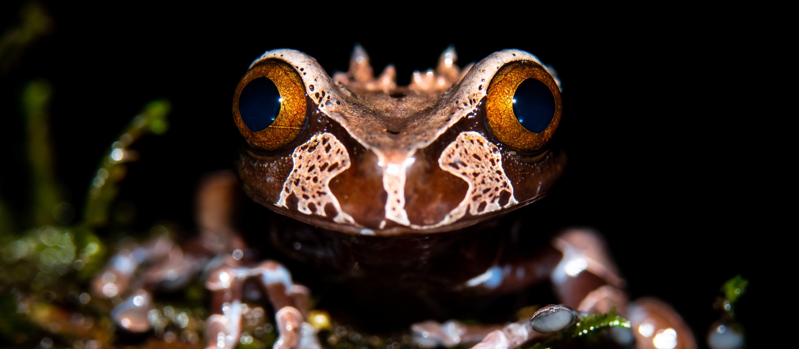 Northern Costa Rica -  Off The Beaten Track