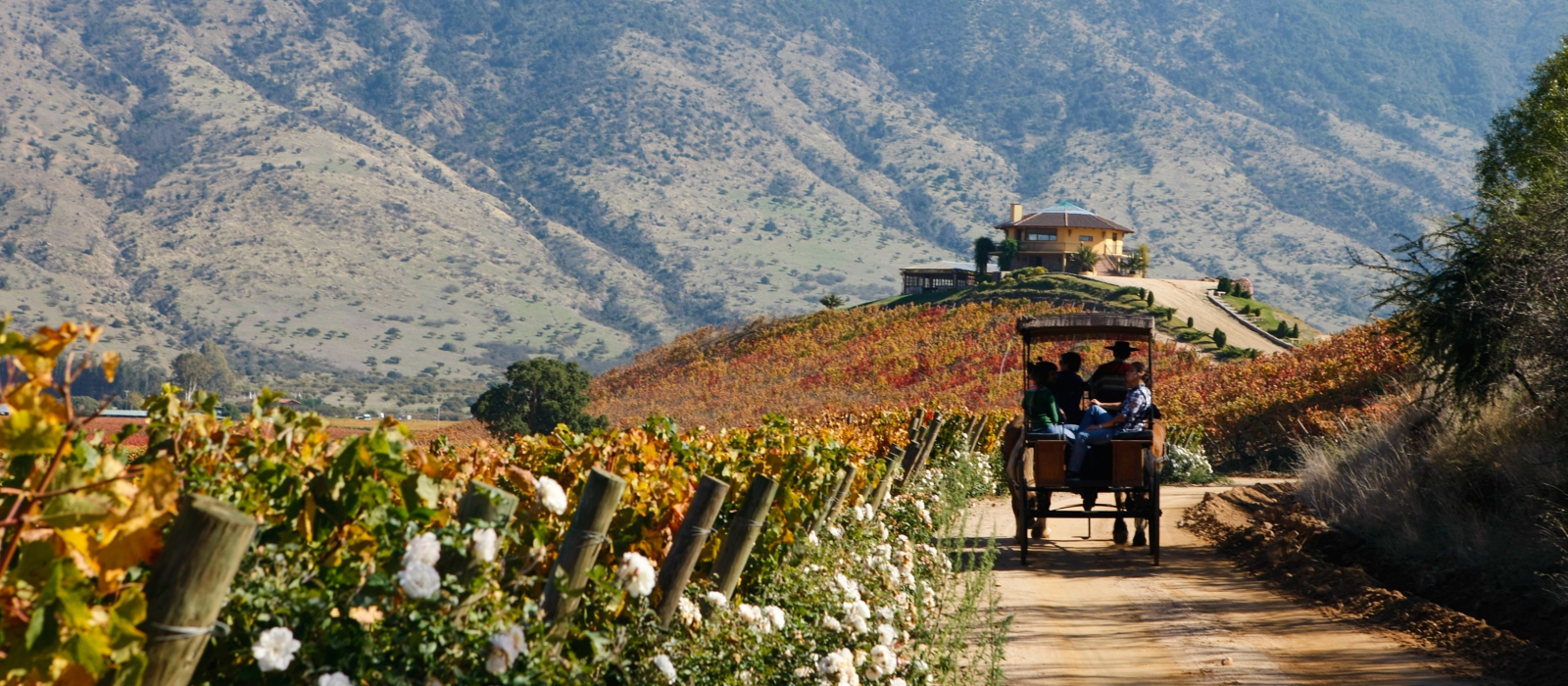 UNDISCOVERED ATACAMA AND THE  CENTRAL WINE  VALLEY