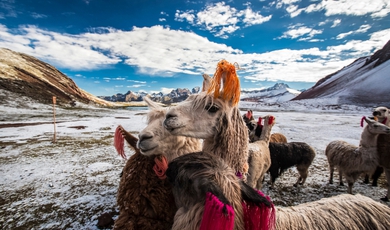 10 Day Ausangate, Rainbow Mountain & Machu Picchu