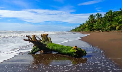 11 Day Luxury Eco Adventure