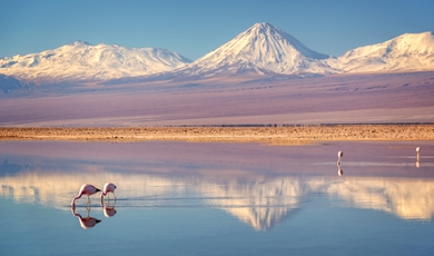 12 Day- Full - On Chile Adventure