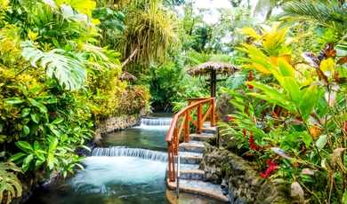 15 Day Top-End Costa Rica
