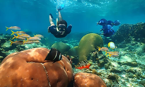 7-Day - The Amazing Yucatan Peninsula