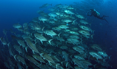 8 Day Luxury Galapagos Escape