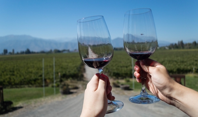 Chile’s Wine Valleys