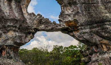 Chiribiquete National Park - Remote Nature