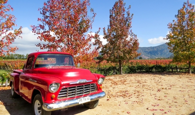 Classic Northern Chile and the Central Wine Valley