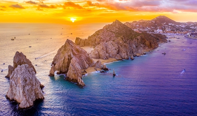 Los Cabos Whale Shark Adventure