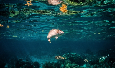 Luxurious Belize Adventure