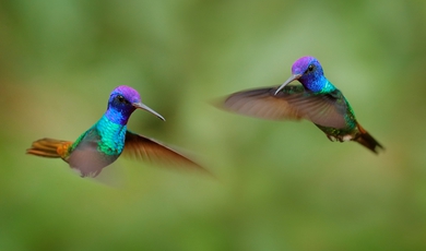 Luxury Ecuadorian Highlights