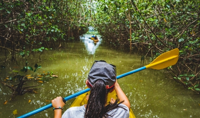 Northern Costa Rica -  Off The Beaten Track