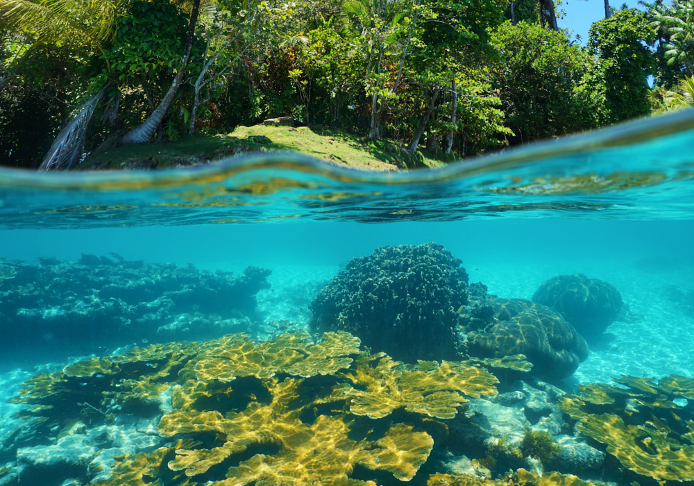 The Panamenian Caribbean coast