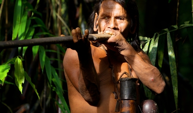 Float through the Amazon