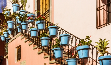 Guadalajara