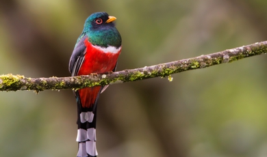 Puerto Maldonado/Tambopata