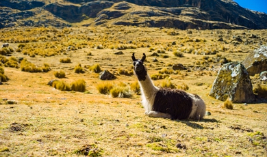 Takesi Inca trail