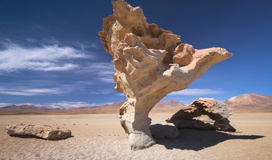 The Dahli desert