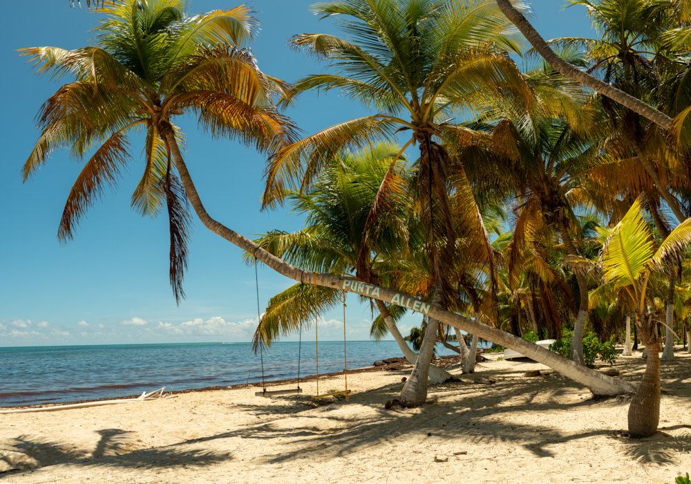 The Caribbean coast  & The Yucatan