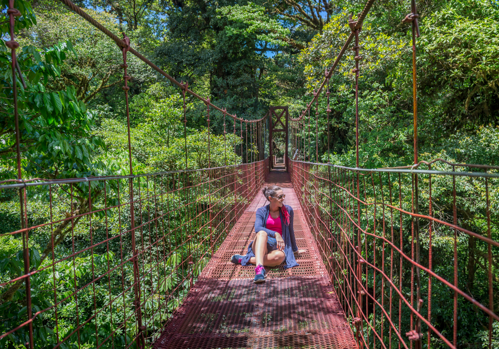 The Costa Rican rainforests and cloudforests