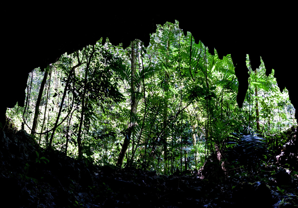 The Belizean mountains