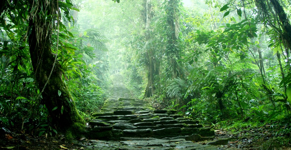 The Lost City, Colombia